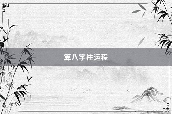 算八字柱运程